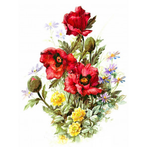  Маки и луговые цветы Канва для вышивки лентами Каролинка КЛ-4042