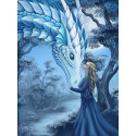 Девушка и дракон Алмазная вышивка мозаика Алмазная живопись