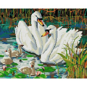 Семья лебедей Алмазная вышивка (мозаика) Белоснежка