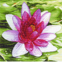 Водяная лилия Ткань с рисунком для вышивания Матренин Посад