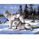 Снежные волки Раскраска по номерам на холсте Живопись по номерам (Paintboy)