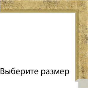Барди (золотистый винтаж) Рамка для картины на подрамнике N296