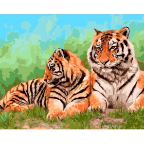 Амурские тигры Раскраска ( картина ) по номерам акриловыми красками на холсте Iteso