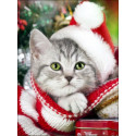 Новогодний кот в пледе Алмазная вышивка мозаика Алмазная живопись