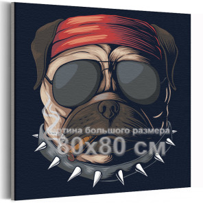  Мопс в бандане и очках / Животные / Собаки 80х80 см Раскраска картина по номерам на холсте AAAA-C0090-80x80