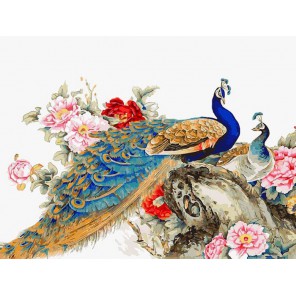 Китайские павлины Раскраска картина по номерам акриловыми красками на холсте Белоснежка