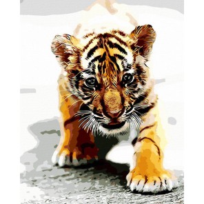 Маленький тигр Раскраска картина по номерам акриловыми красками на холсте Menglei