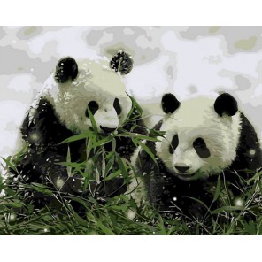 Две панды Раскраска картина по номерам акриловыми красками на холсте Menglei