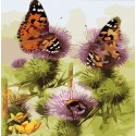 Бабочки и шмели Раскраска картина по номерам Color Kit
