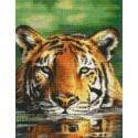 Плывущий тигр Алмазная вышивка мозаика Цветной