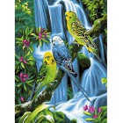 Волнистые попугайчики Раскраска картина по номерам акриловыми красками на холсте Molly
