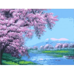 Весеннее цветение сакуры Раскраска по номерам акриловыми красками на холсте Menglei