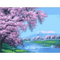 Весеннее цветение сакуры Раскраска по номерам на холсте Menglei