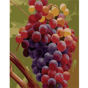 Виноград Хайнца Шольнхаммера Раскраска картина по номерам акриловыми красками на холсте Menglei