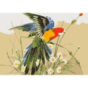Попугай в полевых цветах Раскраска картина по номерам на холсте Menglei