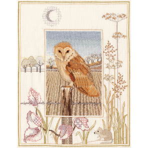  Barn Owl Набор для вышивания Derwentwater Designs WIL3