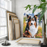 Портрет бордер-колли на природе Собаки Животные Лето 80х100 Раскраска картина по номерам на холсте