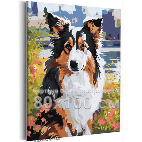 Портрет бордер-колли на природе Собаки Животные Лето 80х100 Раскраска картина по номерам на холсте