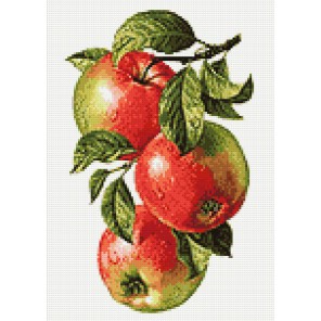 Ветвь яблони Алмазная мозаика вышивка Гранни | Алмазная мозаика купить