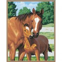 Лошадь и жеребёнок Раскраска (картина) по номерам Dimensions