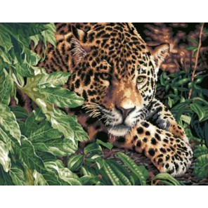 Леопард Раскраска картина по номерам акриловыми красками на холсте | Купить с доставкой или самовывозом в интернет магазине