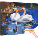 Два влюбленных лебедя на озере Пара Романтика Птицы Раскраска картина по номерам на холсте