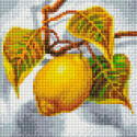 Лимон Алмазная вышивка мозаика Белоснежка