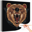 Ревущий бурый медведь Животные Хищники Раскраска картина по номерам на холсте