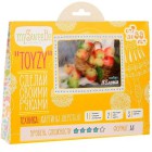 Набор Яблоки Картина из шерсти Toyzy
