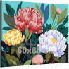Разноцветные пионы Цветы Растения Природа Интерьерная 60х80 Раскраска картина по номерам на холсте