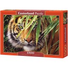 Изумрудный лес Пазлы Castorland
