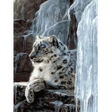 Снежный барс Раскраска картина по номерам на холсте Белоснежка