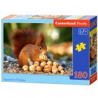 Белка с орешками Пазлы Castorland