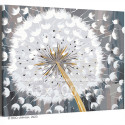 Белый одуванчик Цветы Природа Стильная Интерьерная 80х100 Раскраска картина по номерам на холсте