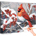 Кардинал на дереве с ягодами Птицы Зима Природа Интерьерная Раскраска картина по номерам на холсте