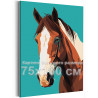 Коричневая лошадь с белым Животные Конь Простая Минимализм 75х100 Раскраска картина по номерам на холсте