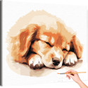 Спящий щенок золотистый ретривер Животные Собака Голден Лабрадор Для детей Детская Раскраска картина по номерам на холсте