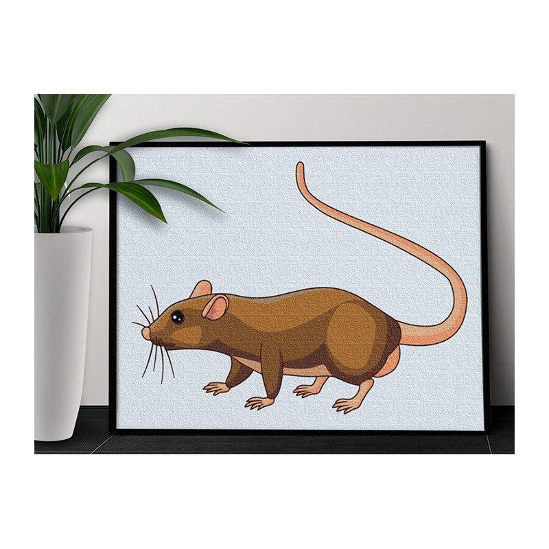 Раскраска крыса | Аниме, Раскраски, Крыса