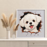 3 Бишон фризе щенок Животные Собака Болонка Детская Легкая Раскраска картина по номерам на холсте