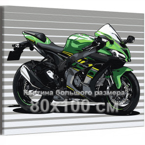 Зеленый гоночный мотоцикл Байк Спорт Для мужчин 80х100 Раскраска картина по номерам на холсте