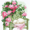 Розовый сон Набор для вышивания Риолис