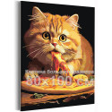 Кот и вкусная пицца Животные Кошки Котики Мем Рыжий Еда Для кухни 80х100 Раскраска картина по номерам на холсте
