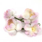 Цветы сакуры розово-бежевые для скрапбукинга, кардмейкинга Scrapberry's