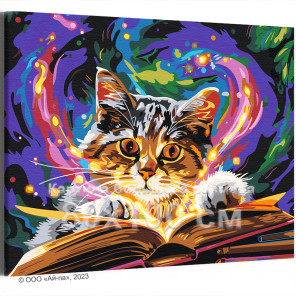Кот с волшебной книгой Животные Кошки Котята Мем Магия Фэнтези Для детей Детская Яркая 80х100 Раскраска картина по номерам на хо