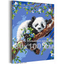 Панда на цветущей ветке Животные Медведь Малыш Весна Цветы Дерево Ветви 80х100 Раскраска картина по номерам на холсте