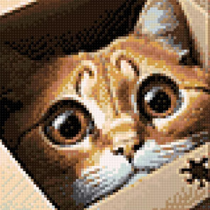  Котик в коробке Алмазная вышивка мозаика Гранни Ag 3052