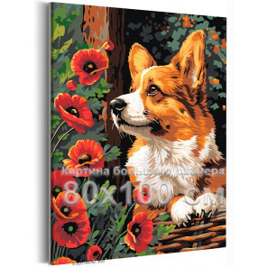 Любимый корги с маками Животные Собаки Щенок Цветы 80х100 Раскраска картина по номерам на холсте
