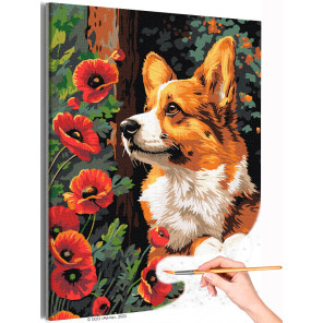 1 Любимый корги с маками Животные Собаки Щенок Цветы Раскраска картина по номерам на холсте
