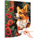 Любимый корги с маками Животные Собаки Щенок Цветы Раскраска картина по номерам на холсте