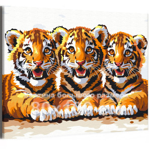 Три тигренка Животные Тигр Малыши Для детской 80х100 Раскраска картина по номерам на холсте